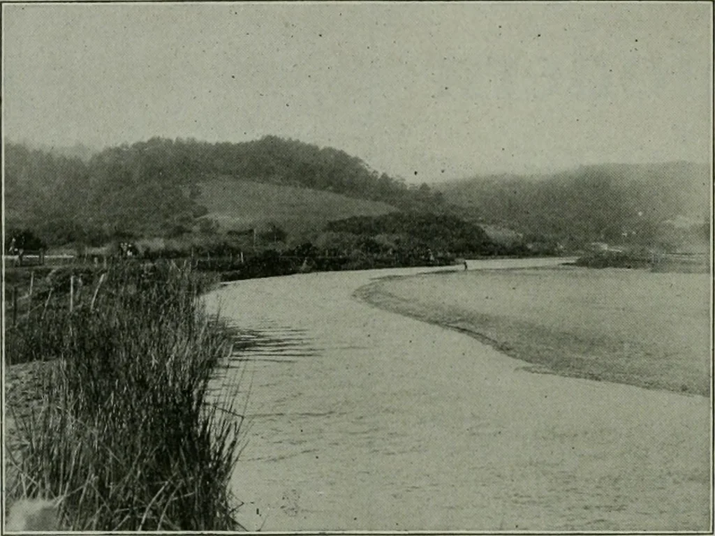 An illustration from The Architect & engineer of California and the Pacific Coast, 1905, leaf 501