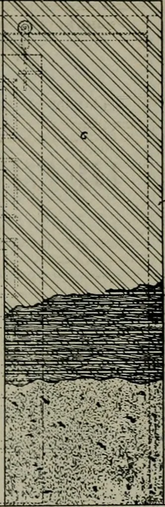An illustration from The Architect & engineer of California and the Pacific Coast, 1905, leaf 504