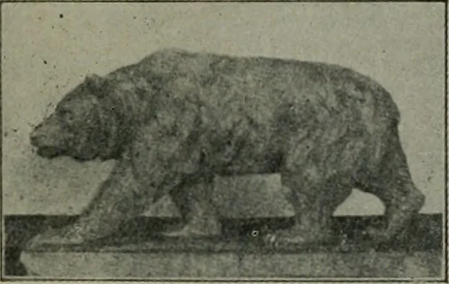 An illustration from The Architect & engineer of California and the Pacific Coast, 1905, leaf 516