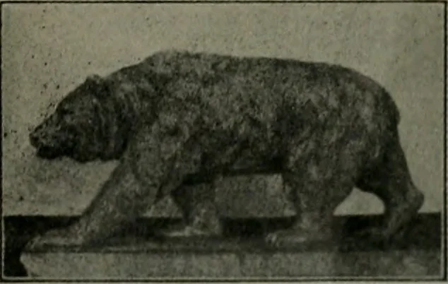 An illustration from The Architect & engineer of California and the Pacific Coast, 1905, leaf 158