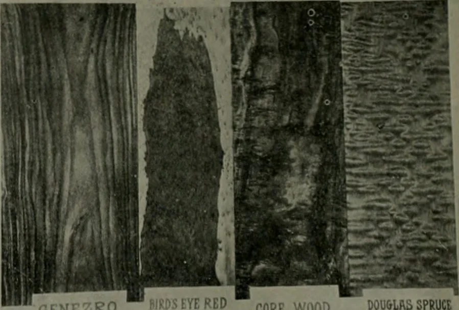 An illustration from The Architect & engineer of California and the Pacific Coast, 1905, leaf 203
