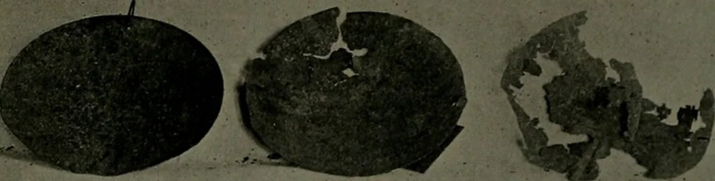An illustration from The Architect & engineer of California and the Pacific Coast, 1905, leaf 214
