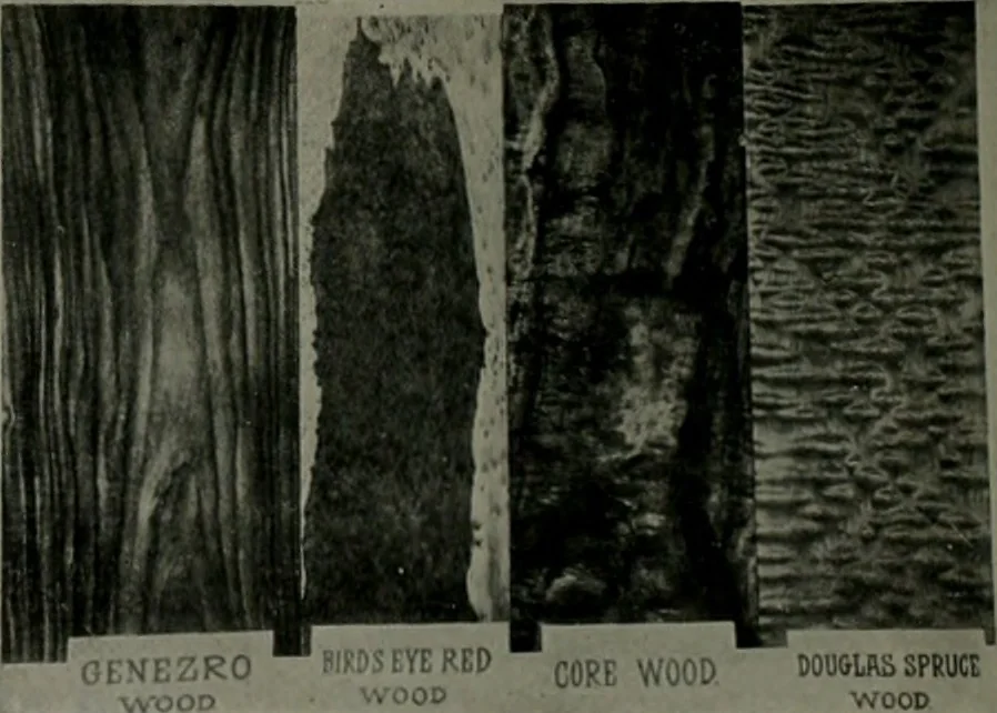 An illustration from The Architect & engineer of California and the Pacific Coast, 1905, leaf 377