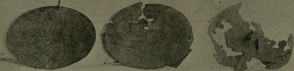 An illustration from The Architect & engineer of California and the Pacific Coast, 1905, leaf 388