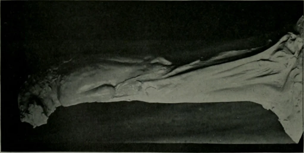 An illustration from The Architect & engineer of California and the Pacific Coast, 1905, leaf 407