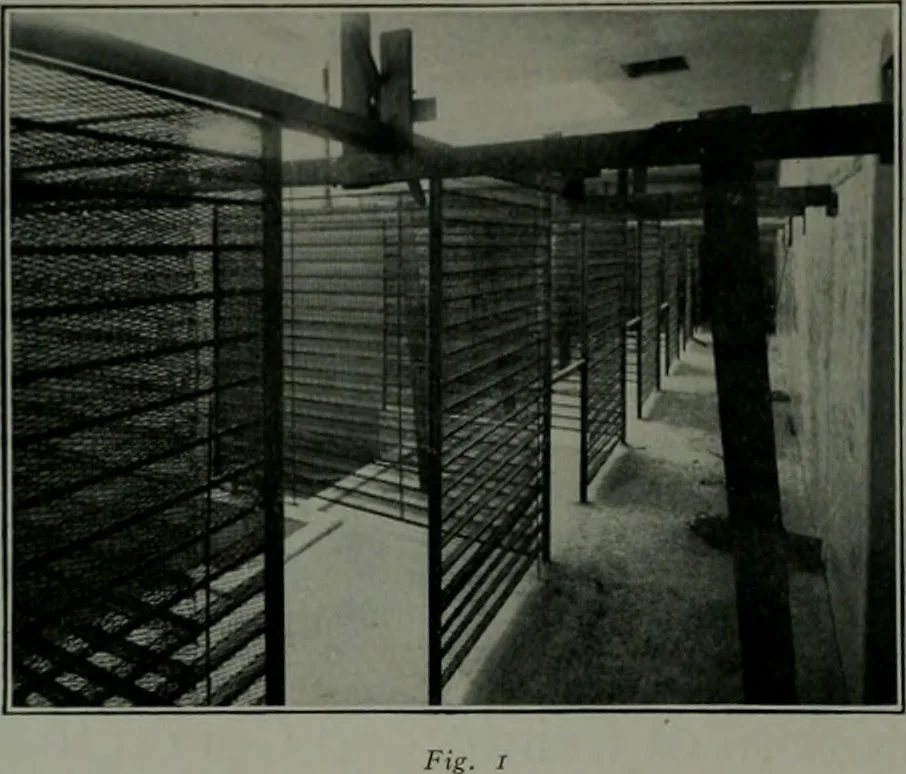 An illustration from The Architect & engineer of California and the Pacific Coast, 1905, leaf 429