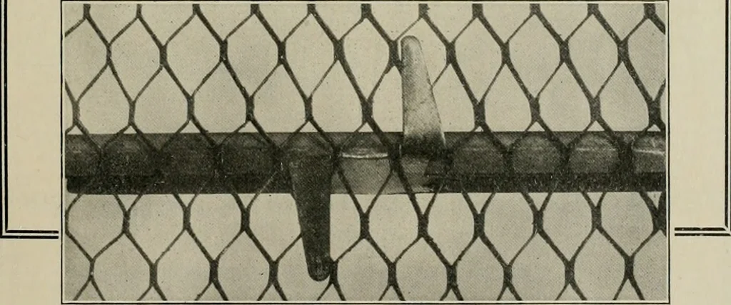 An illustration from The Architect & engineer of California and the Pacific Coast, 1905, leaf 12