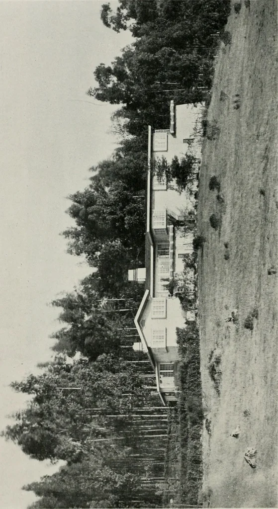 An illustration from The Architect & engineer of California and the Pacific Coast, 1905, leaf 251