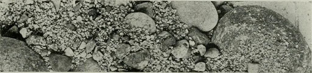 An illustration from The Architect & engineer of California and the Pacific Coast, 1905, leaf 318