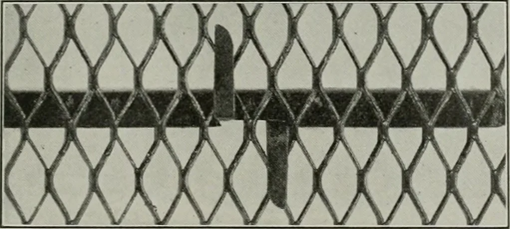 An illustration from The Architect & engineer of California and the Pacific Coast, 1905, leaf 378