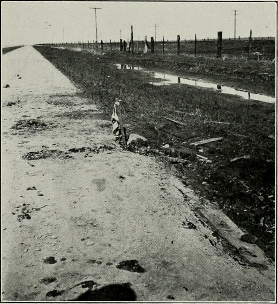 An illustration from The Architect & engineer of California and the Pacific Coast, 1905, leaf 472
