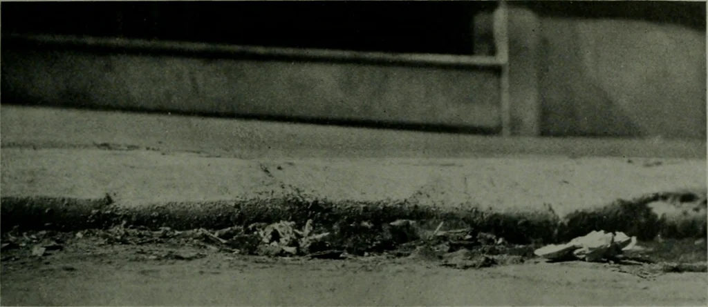An illustration from The Architect & engineer of California and the Pacific Coast, 1905, leaf 136