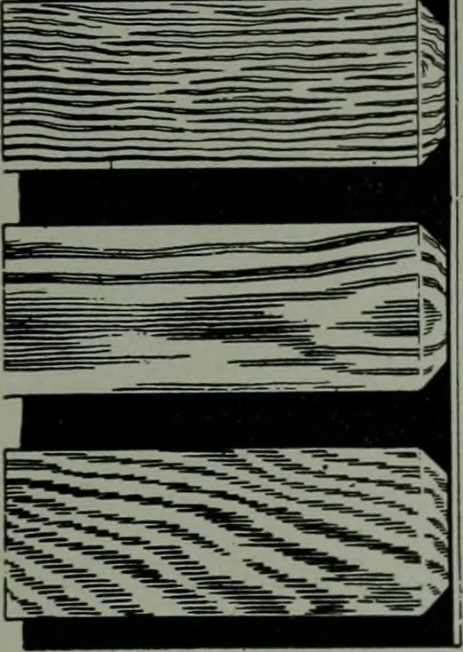An illustration from The Architect & engineer of California and the Pacific Coast, 1905, leaf 152