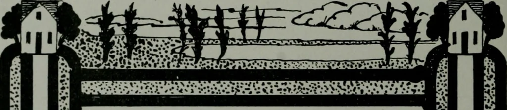 An illustration from The Architect & engineer of California and the Pacific Coast, 1905, leaf 169