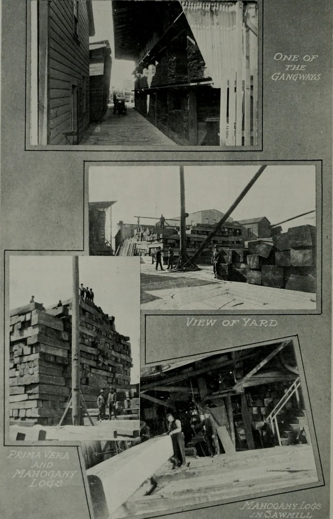 An illustration from The Architect & engineer of California and the Pacific Coast, 1905, leaf 309
