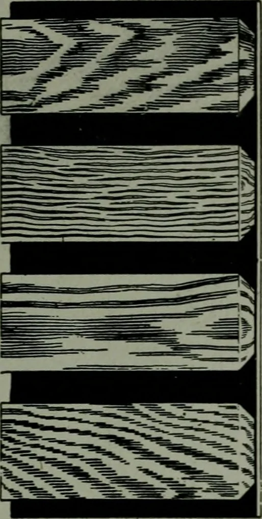 An illustration from The Architect & engineer of California and the Pacific Coast, 1905, leaf 324