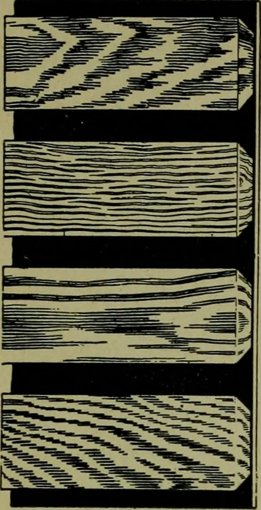 An illustration from The Architect & engineer of California and the Pacific Coast, 1905, leaf 496