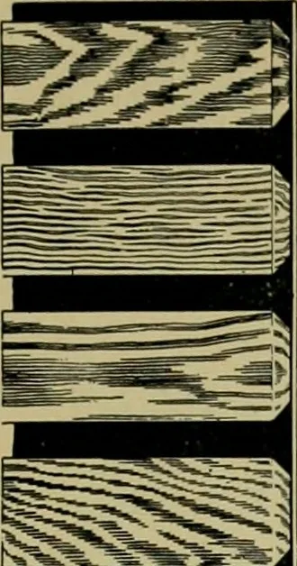 An illustration from The Architect & engineer of California and the Pacific Coast, 1905, leaf 148
