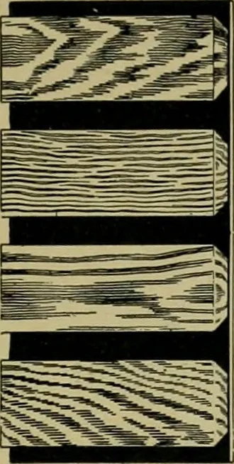 An illustration from The Architect & engineer of California and the Pacific Coast, 1905, leaf 318