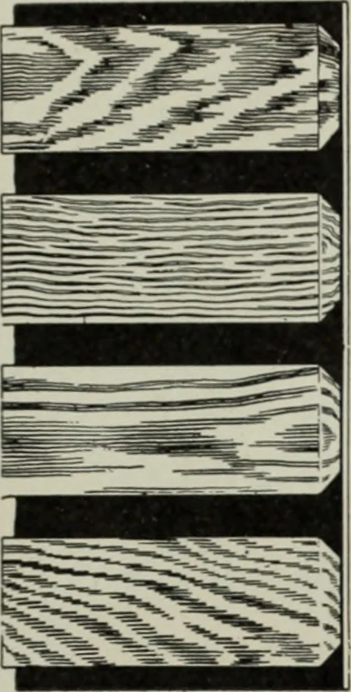An illustration from The Architect & engineer of California and the Pacific Coast, 1905, leaf 146
