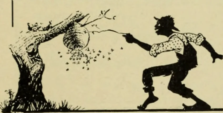 An illustration from The Architect & engineer of California and the Pacific Coast, 1905, leaf 314
