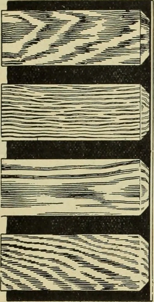 An illustration from The Architect & engineer of California and the Pacific Coast, 1905, leaf 326