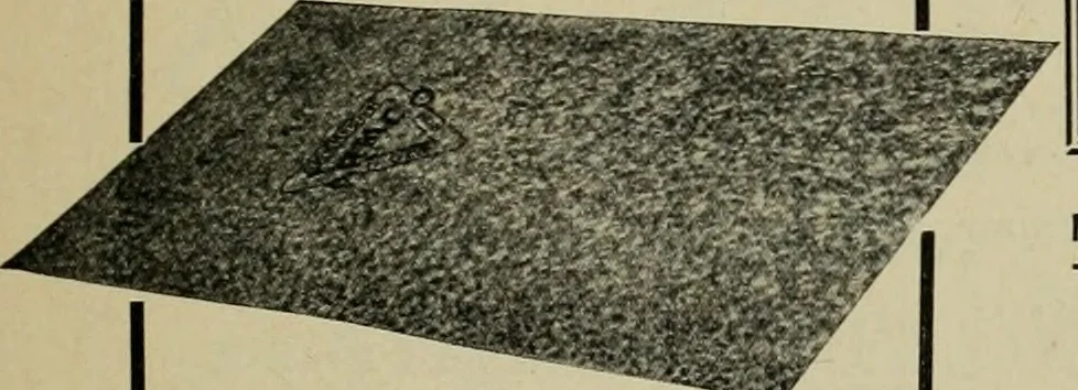 An illustration from The Architect & engineer of California and the Pacific Coast, 1905, leaf 152