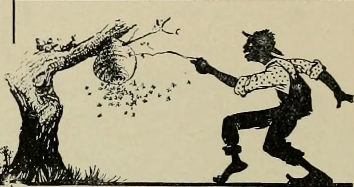 An illustration from The Architect & engineer of California and the Pacific Coast, 1905, leaf 153