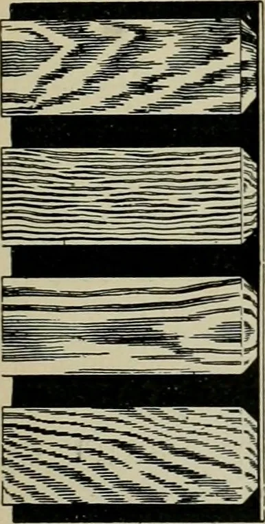 An illustration from The Architect & engineer of California and the Pacific Coast, 1905, leaf 194