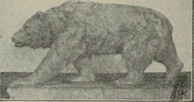 An illustration from The Architect & engineer of California and the Pacific Coast, 1905, leaf 201
