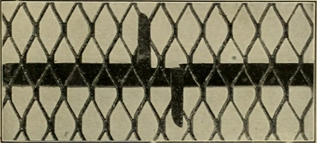 An illustration from The Architect & engineer of California and the Pacific Coast, 1905, leaf 22