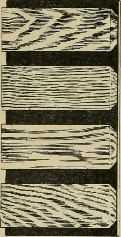 An illustration from The Architect & engineer of California and the Pacific Coast, 1905, leaf 34