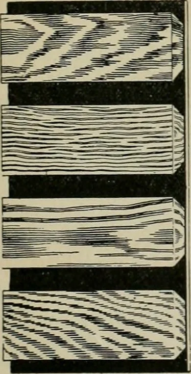 An illustration from The Architect & engineer of California and the Pacific Coast, 1905, leaf 30