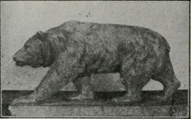 An illustration from The Architect & engineer of California and the Pacific Coast, 1905, leaf 364