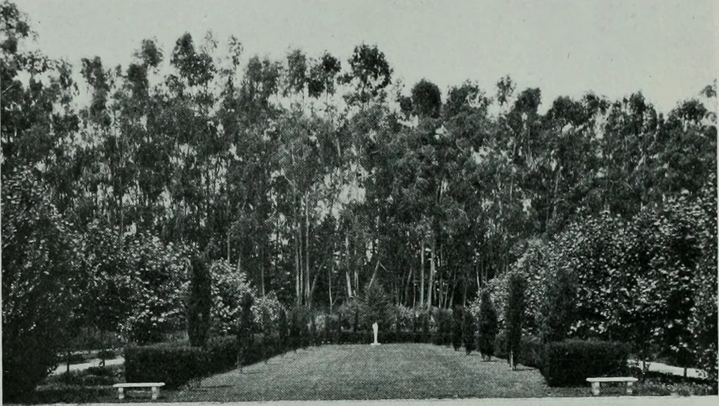 An illustration from The Architect & engineer of California and the Pacific Coast, 1905, leaf 233