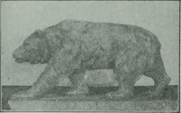 An illustration from The Architect & engineer of California and the Pacific Coast, 1905, leaf 35
