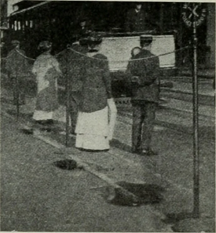 An illustration from The Architect & engineer of California and the Pacific Coast, 1905, leaf 282