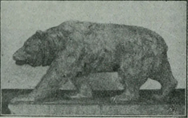 An illustration from The Architect & engineer of California and the Pacific Coast, 1905, leaf 35