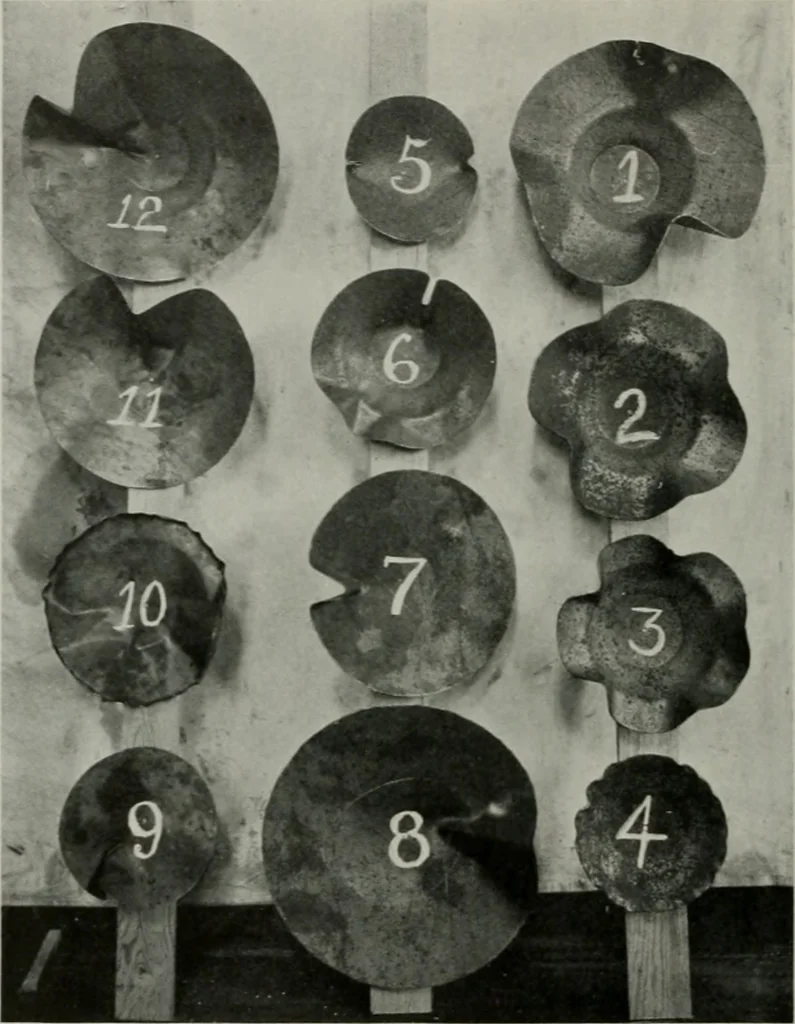 An illustration from The Architect & engineer of California and the Pacific Coast, 1905, leaf 367