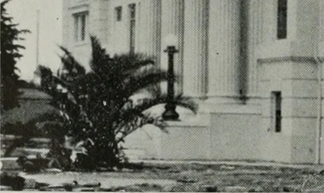 An illustration from The Architect & engineer of California and the Pacific Coast, 1905, leaf 43