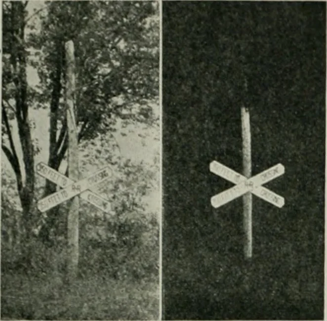 An illustration from The Architect & engineer of California and the Pacific Coast, 1905, leaf 86