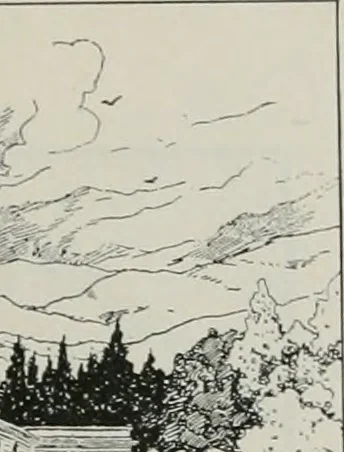 An illustration from The Architect & engineer of California and the Pacific Coast, 1905, leaf 162