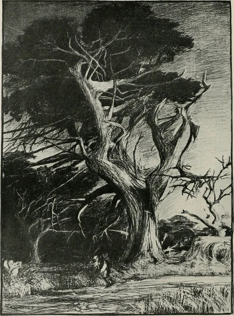 An illustration from The Architect & engineer of California and the Pacific Coast, 1905, leaf 311