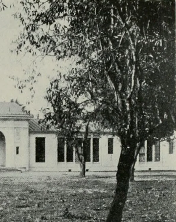 An illustration from The Architect & engineer of California and the Pacific Coast, 1905, leaf 336