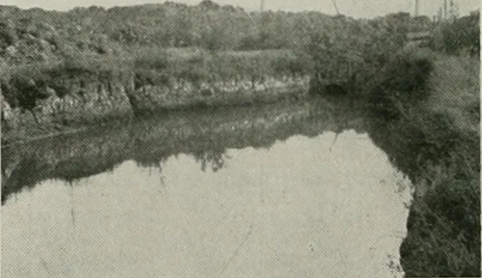An illustration from The Architect & engineer of California and the Pacific Coast, 1905, leaf 493