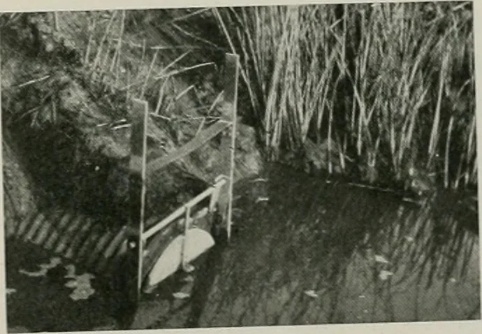 An illustration from The Architect & engineer of California and the Pacific Coast, 1905, leaf 494