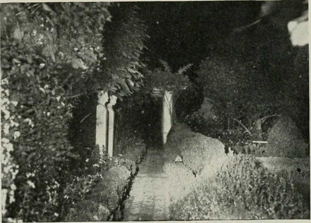 An illustration from The Architect & engineer of California and the Pacific Coast, 1905, leaf 584