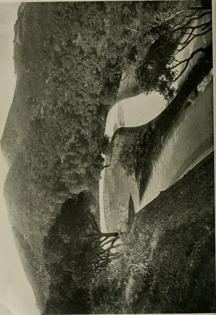 An illustration from The Architect & engineer of California and the Pacific Coast, 1905, leaf 399