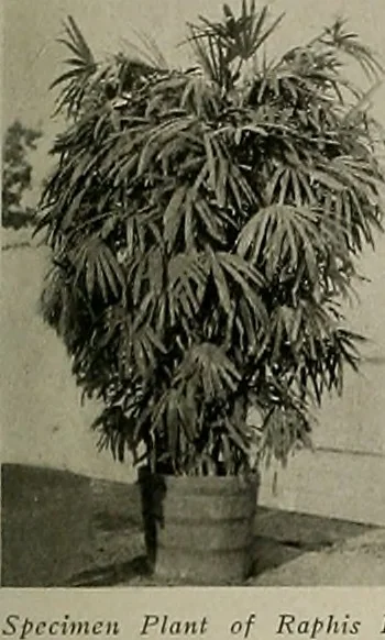 An illustration from The Architect & engineer of California and the Pacific Coast, 1905, leaf 400