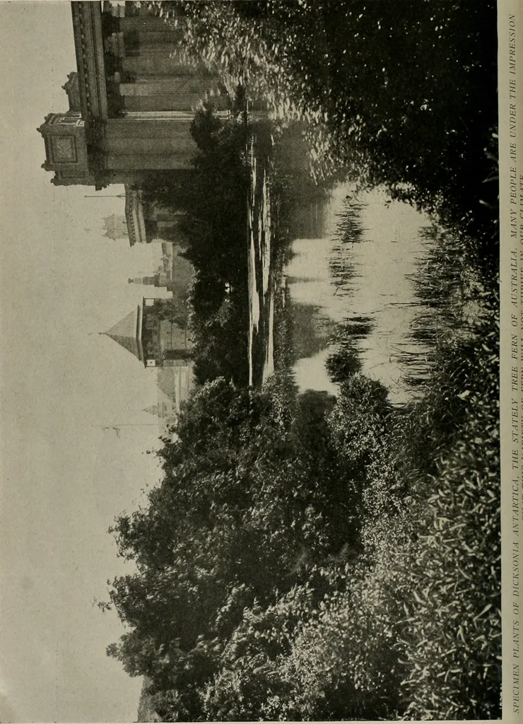 An illustration from The Architect & engineer of California and the Pacific Coast, 1905, leaf 401